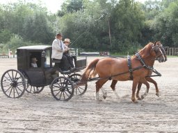 IMG_1192_web